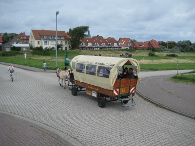 paard en wagen